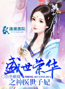 叶凡楚清雅